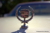 Cadillac Seville .DNG